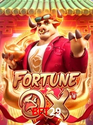BET29.COM
